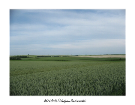 Biermes, mon village d'enfance