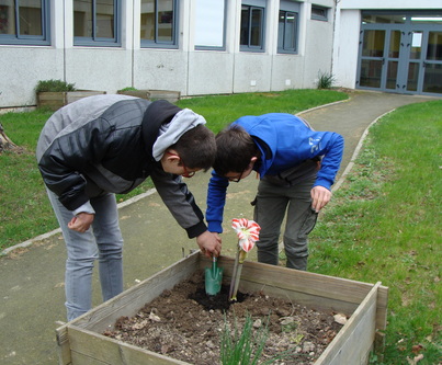 Où en est le jardin?