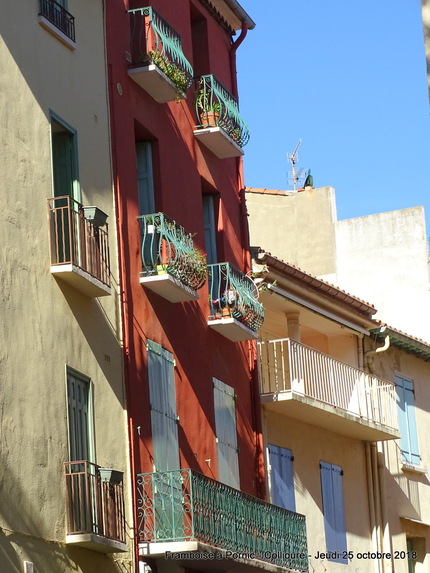 Collioure - Pyrénées Orientales - 