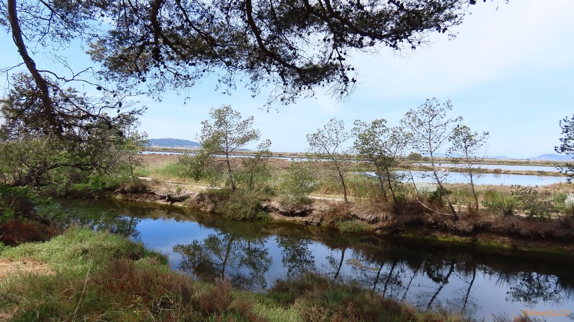  la presqu'île de Giens -16