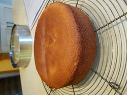 GENOISE