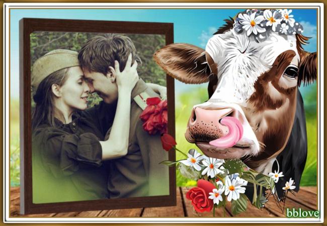 ❤️ La moitié du mois est envolée et le printemps tarde à venir ❤️