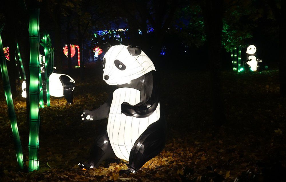 Les lumières légendaires à Bordeaux - Les pandas...