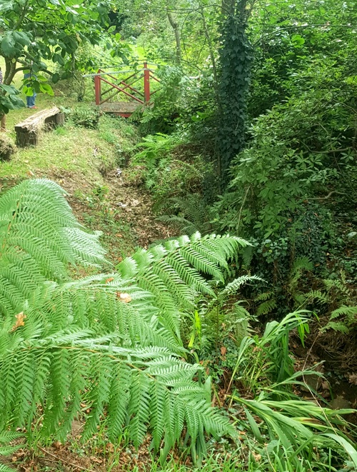 Jardin privé a Guipavas 
