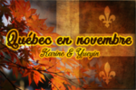 Québec en novembre c'est fini!