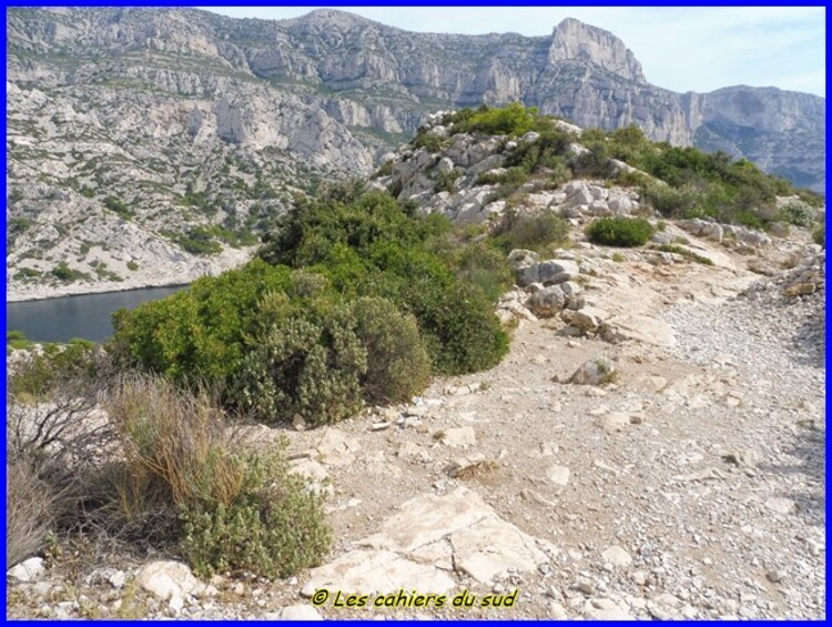 Calanques, la crête de Morgiou