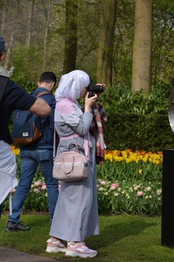 Pays-Bas, Au pays des tulipes - avril 2019