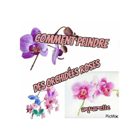 Dessin et peinture - vidéo 3867 : Comment peindre des orchidées roses ? - aquarelle.