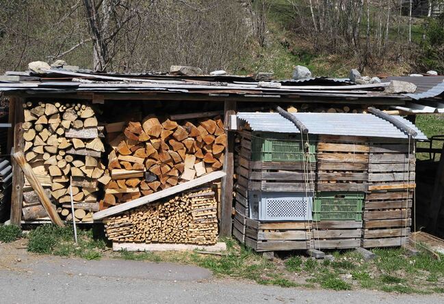 Au bord du chemin... alignés