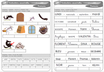 Evaluations semestrielles