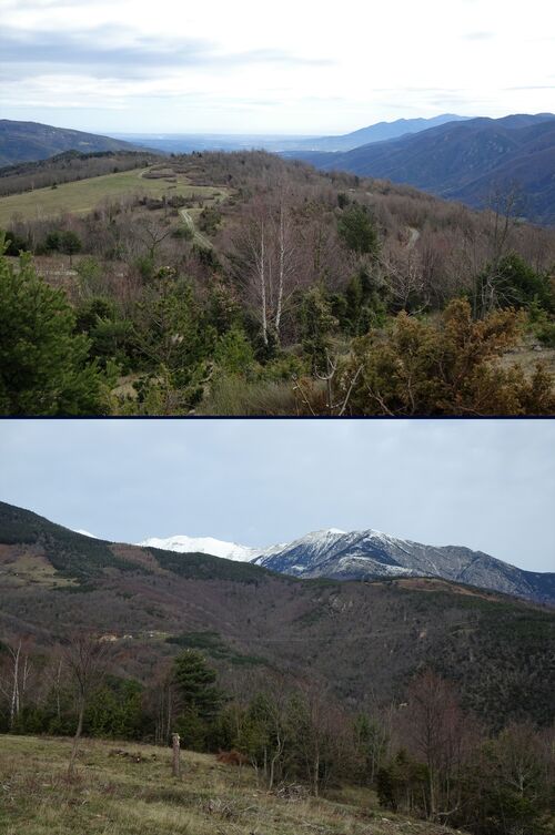 * MONTFERRER Le Château et la Fontaine du Brigadier