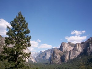 Sequoia National Park > Yosemite National Park