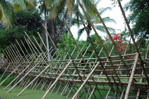 Samedi 13 juillet Ethnies et lucioles