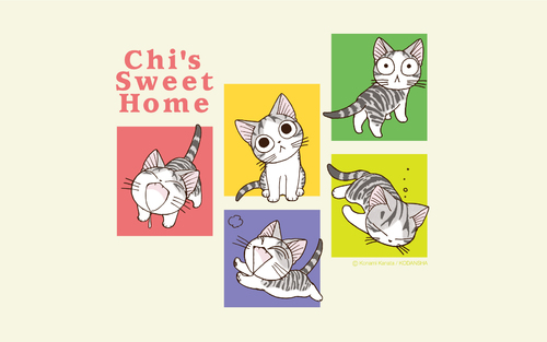 Wallpapers Chi une vie de chat/Chi's sweet home