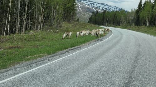 De Trondheim à Eggum