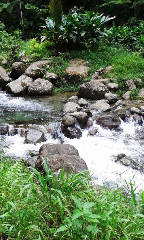 Cascade de l'Alma Martinique