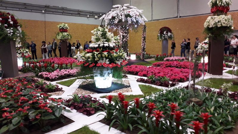 LES FLORALIES INTERNATIONALES DE NANTES .   44000  LOIRE ATLANTIQUE  .   3ème partie .