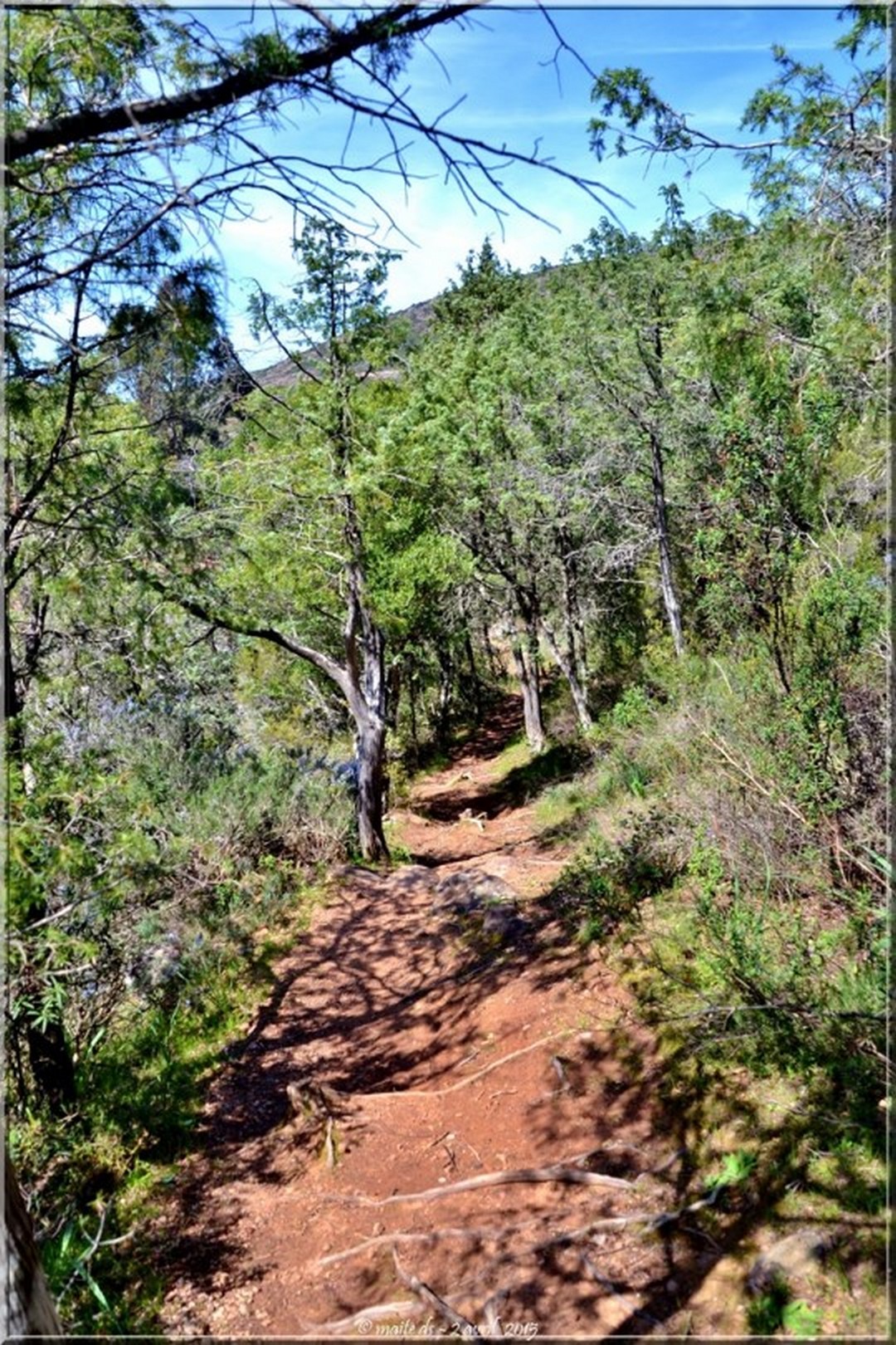 Sentier le long du Fango - Corse