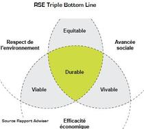 La responsabilité sociétale des entreprises (RSE)  est-elle une exigence de nature  éthique ?