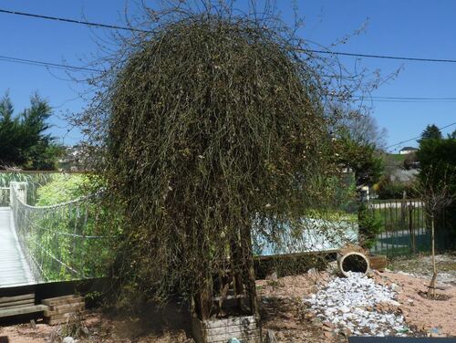 Le printemps 2019 est installé