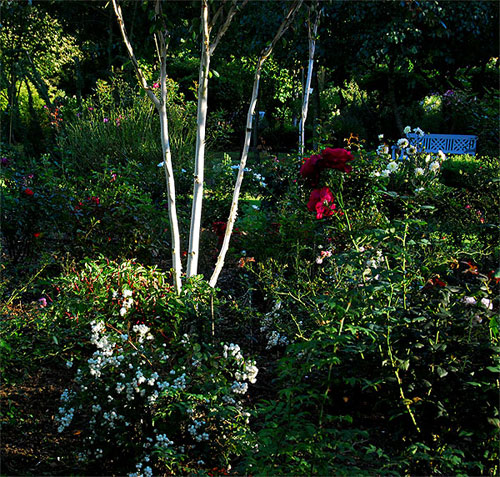 Magical Garden chez Duo pour un jardin.