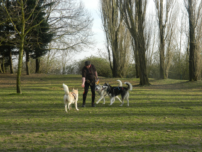 Parc de Loos au retour de la plage.