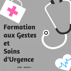 Formation aux Gestes et Soins d'Urgence de niveau 2 (FGSU 2) - Fiches