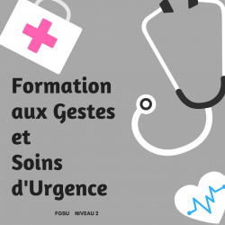 Formation aux Gestes et Soins d'Urgence de niveau 2 (FGSU 2) - Fiches 