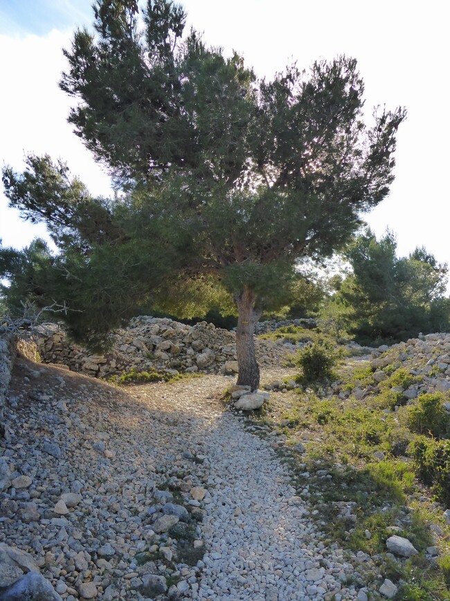 Le sentier du Berger, suite et fin !