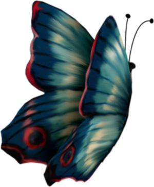 Papillons / 2