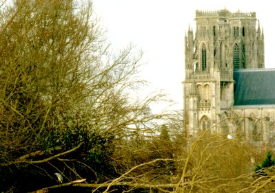 etang-dommartin-heron-et-goeland-cathedrale.jpg