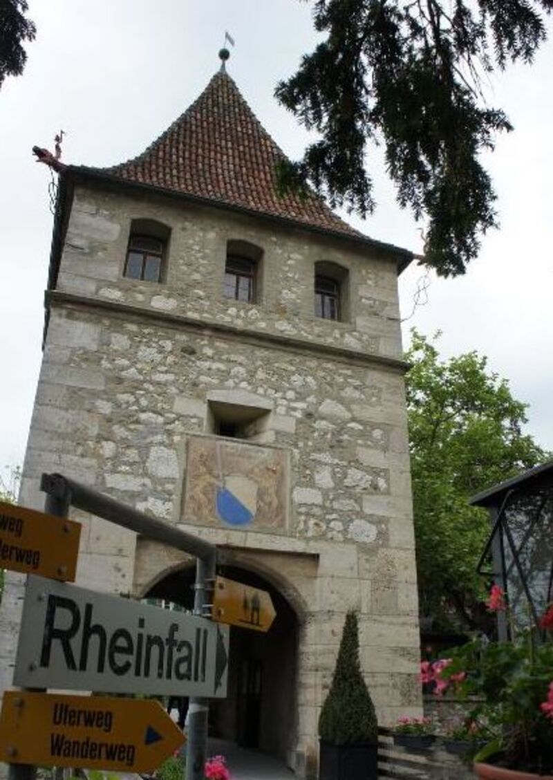 SCHAFFHAUSEN  LES CHUTES DU RHIN