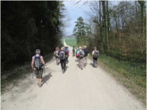 Chemin-de-Renoir--12km----30---Copier-.JPG