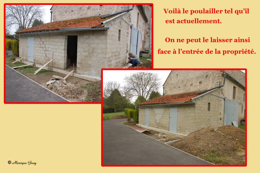 poulailler-en-renovation.jpg