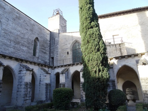 La grande Zarteuse de Villeneuve-les-Avignon (photos)