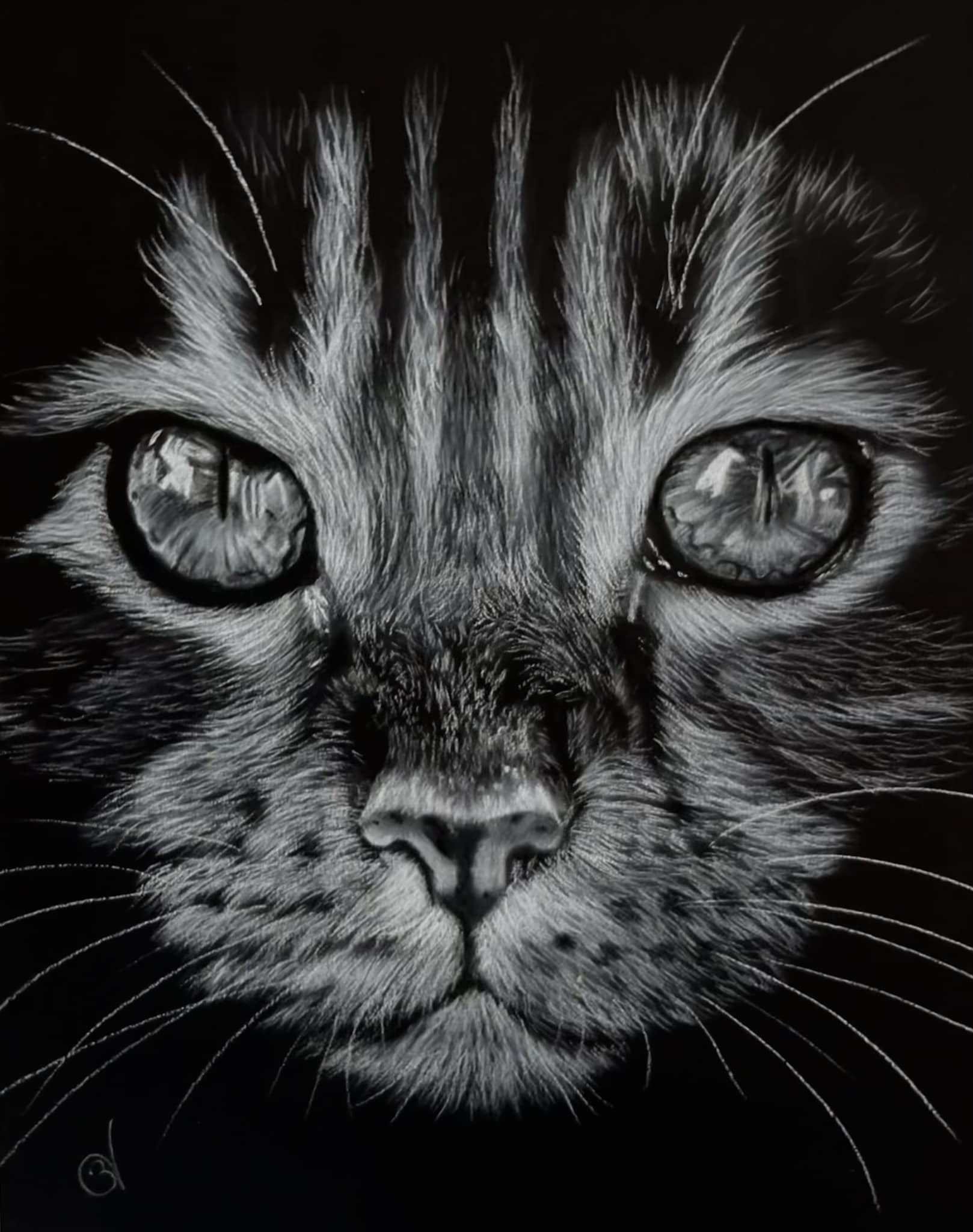 Tableau du samedi 163 : Hypnochat - Béa Kimcat Blog Bis
