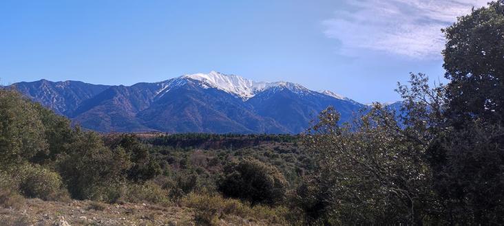 Peut être une image de arbre, montagne et nature