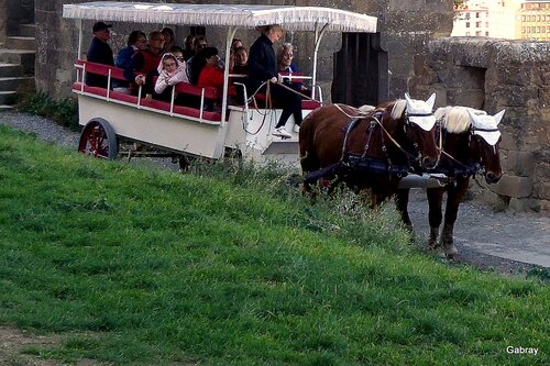 Carcassonne : à pied ou à cheval !