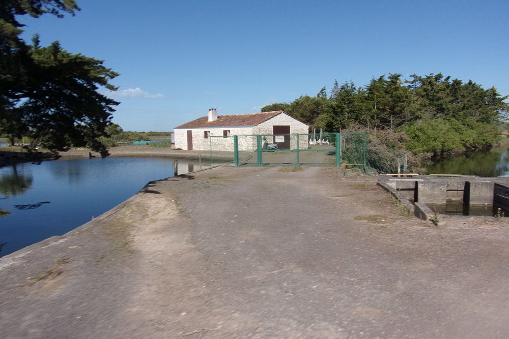 Les environs de Jard sur mer, balade dans les marais (1).