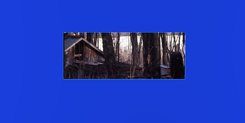 Le rendu de la cabane quand le fichier PNG est correct