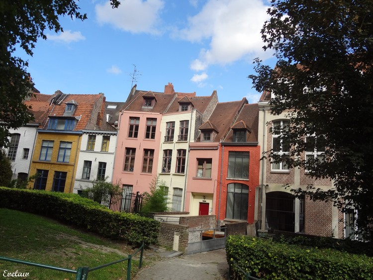 NOTRE DAME DE LA TREILLE - LILLE (3) - Le Jardin et le parvis - Place Gilleson