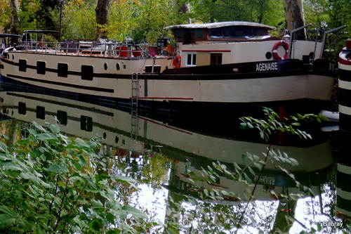 Canal du Midi : des péniches