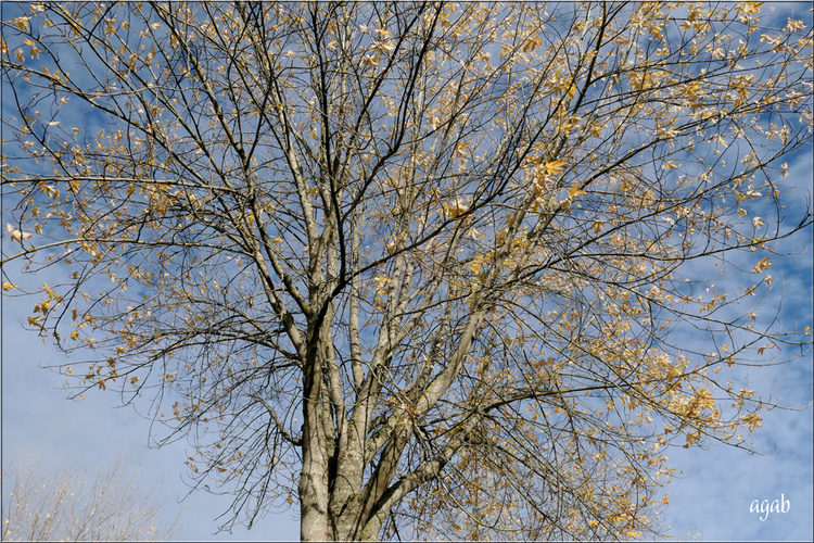 promenade photographique de novembre 2022