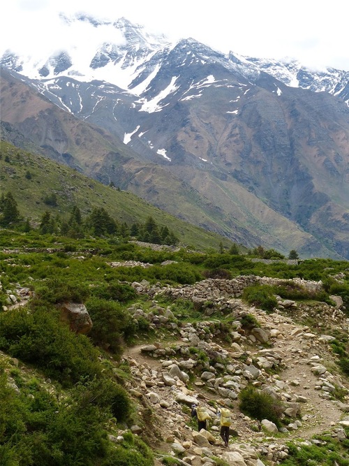 les environs de Chitkul, 3 500 m d'altitude;