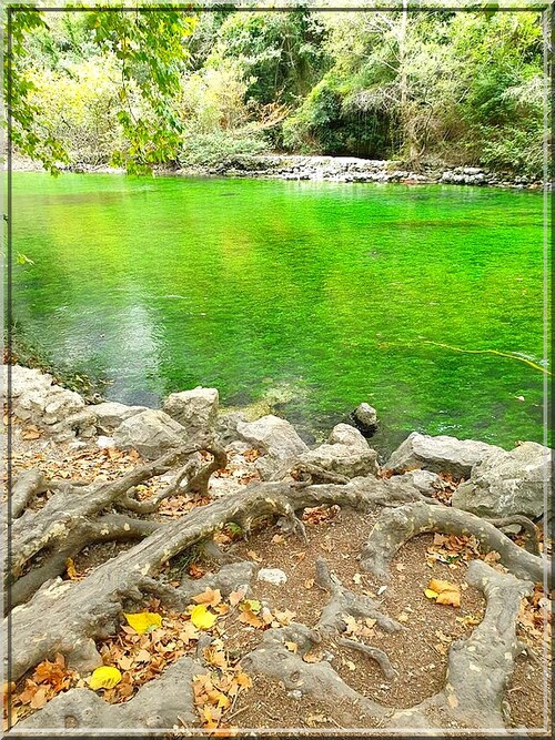 1026 - Fontaine de Vaucluse (84)