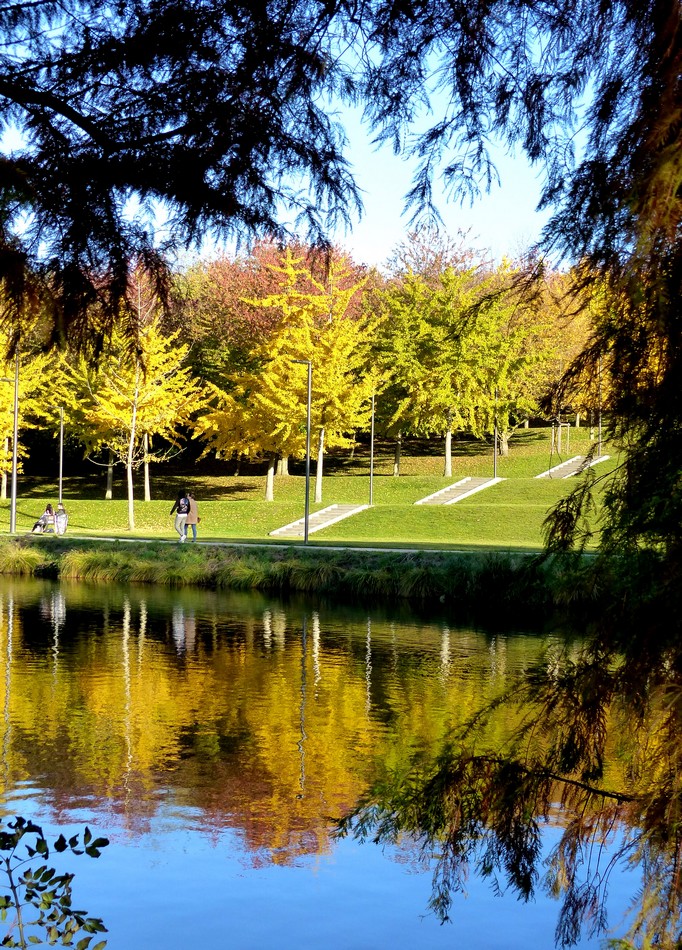 Couleurs du parc au 8 novembre