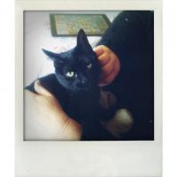blacky