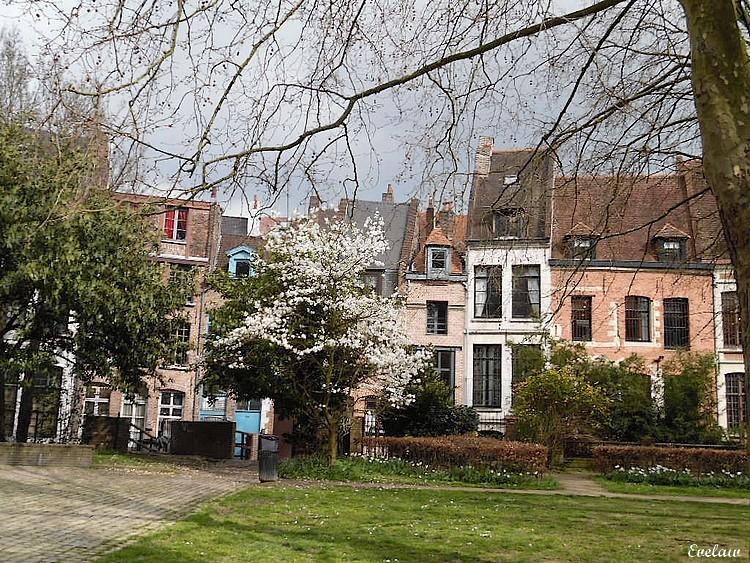 NOTRE DAME DE LA TREILLE - LILLE (3) - Le Jardin et le parvis - Place Gilleson