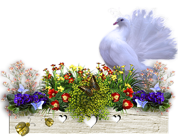 1ac0a2d2-Superbe-colombe-dans-fleurs-diverses-.png