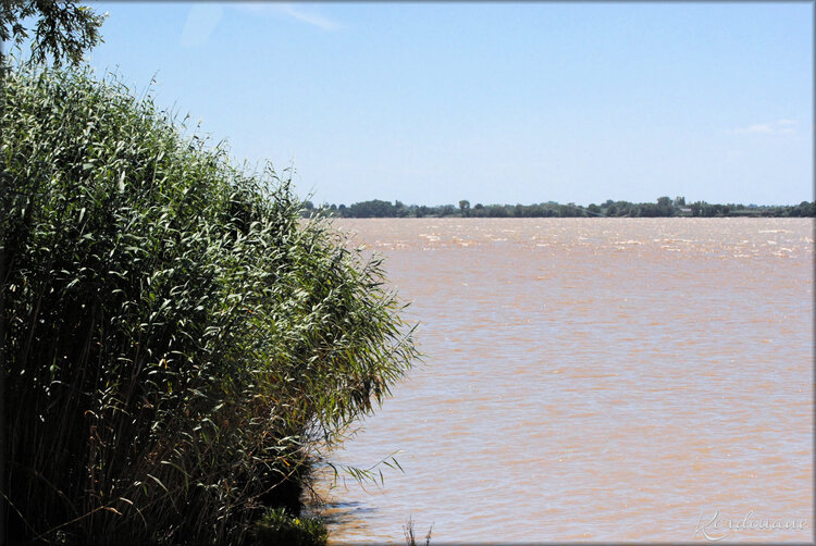 Photo de l'estuaire de la Gironde